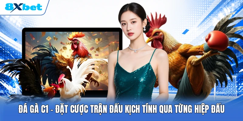 Đá Gà C1 | Đặt Cược Trận Đấu Kịch Tính Qua Từng Hiệp Đấu