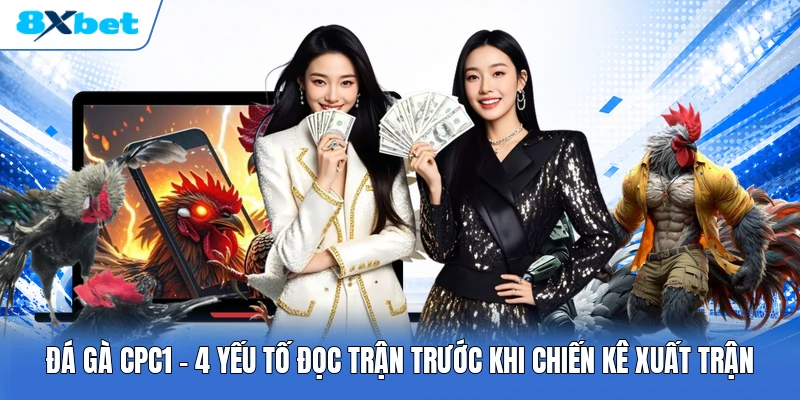 Đá Gà CPC1 | 4 Yếu Tố Đọc Trận Trước Khi Chiến Kê Xuất Trận