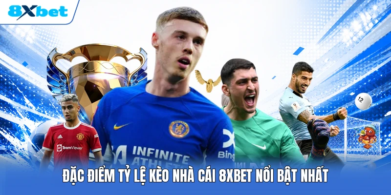 Đặc điểm tỷ lệ kèo nhà cái 8XBET nổi bật nhất