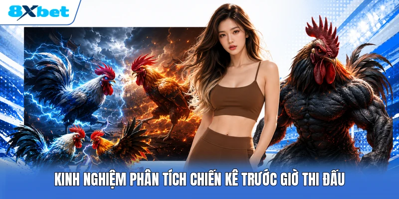Kinh nghiệm phân tích chiến kê trước giờ thi đấu