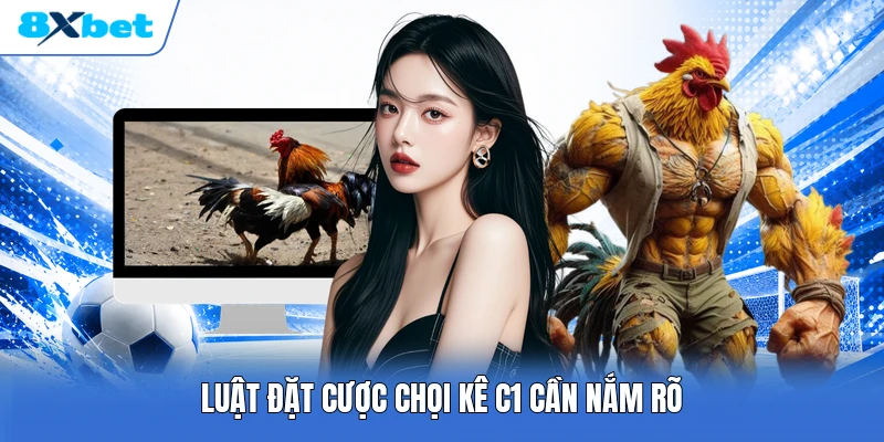 Luật đặt cược chọi kê C1 cần nắm rõ