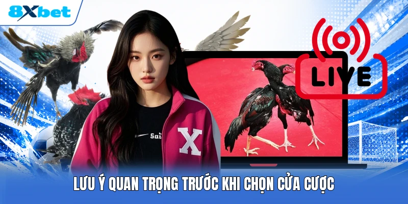 Lưu ý quan trọng trước khi chọn cửa cược