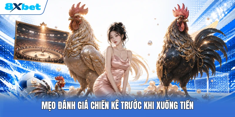 Mẹo đánh giá chiến kê trước khi xuống tiền