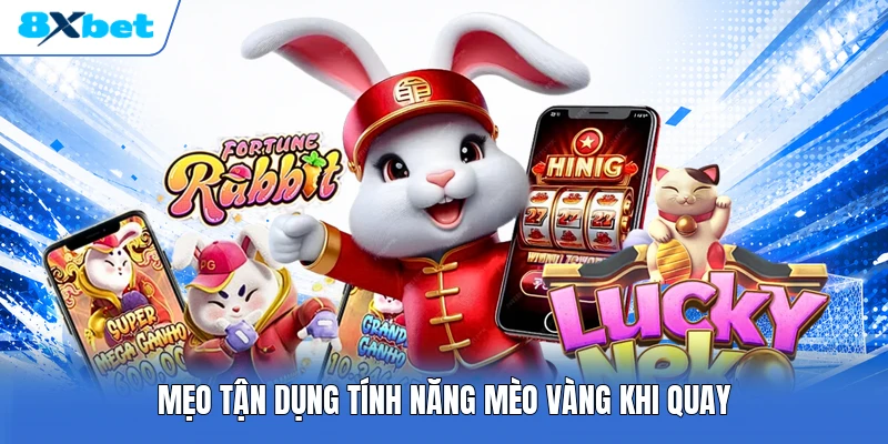 Mẹo tận dụng tính năng mèo vàng khi quay