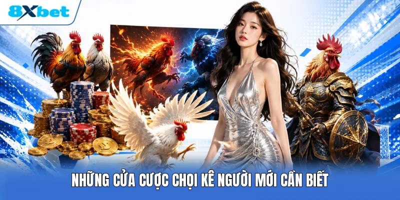 Những cửa cược chọi kê người mới cần biết