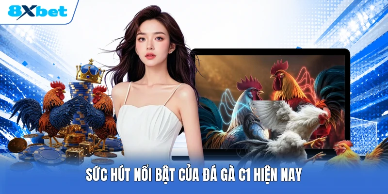 Sức hút nổi bật của đá gà C1 hiện nay